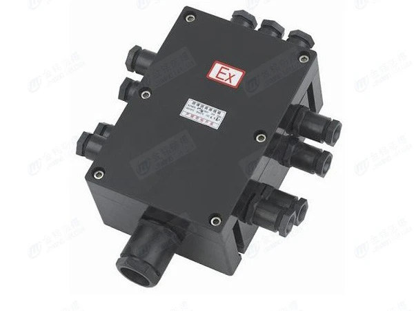 防爆防腐接线箱